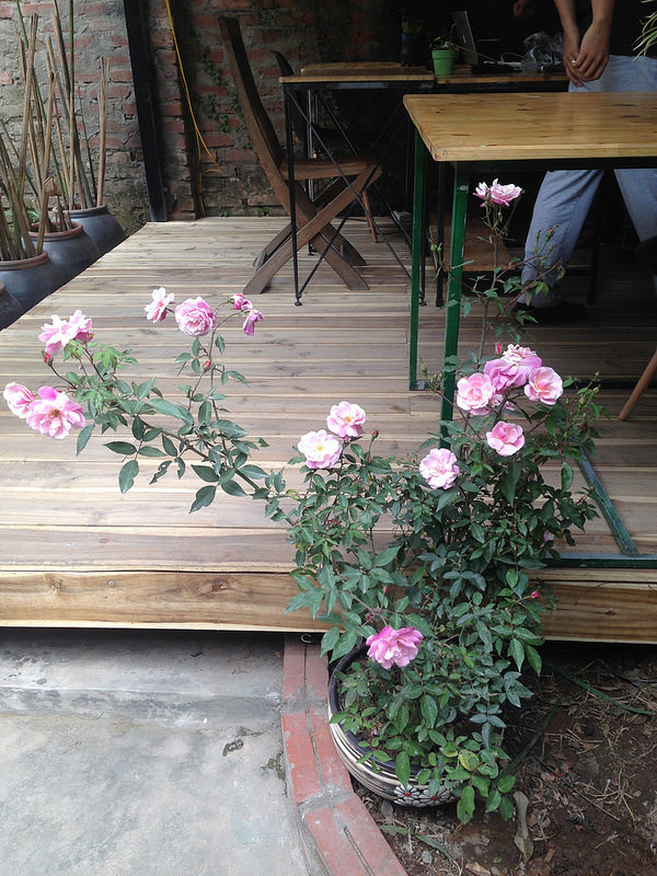 25312033872_667ce33489_c