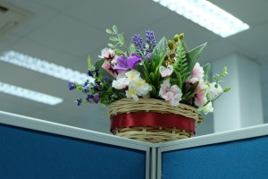 DSCF0003