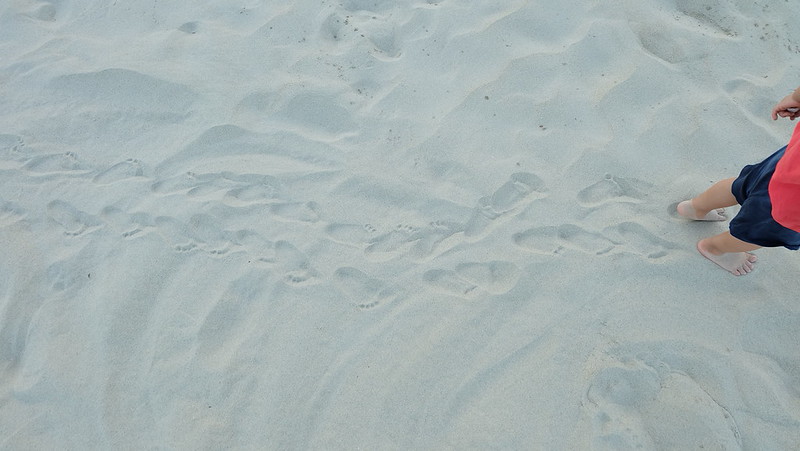 DSCF2377