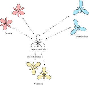 irises