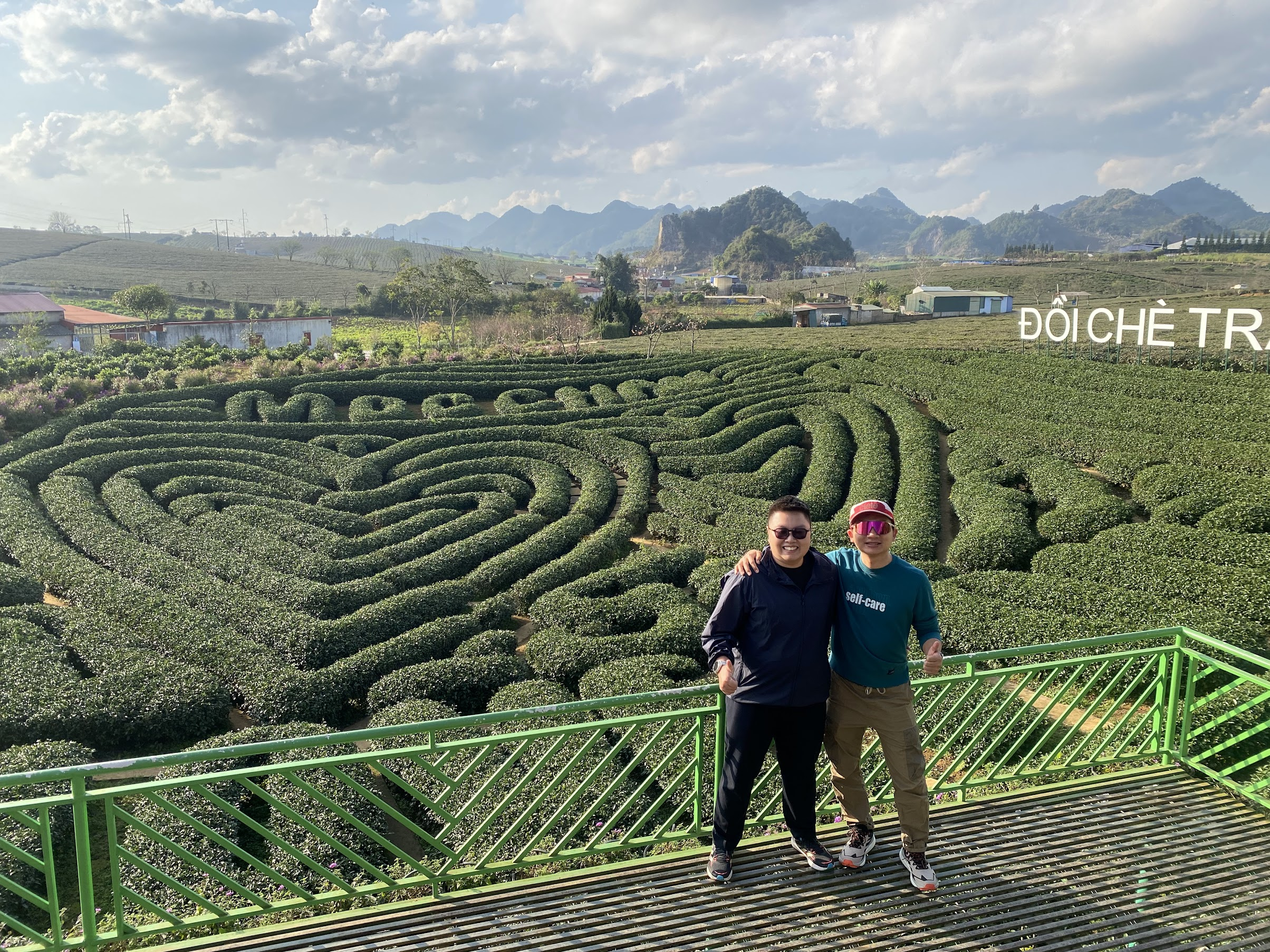 đồi chè fake đây